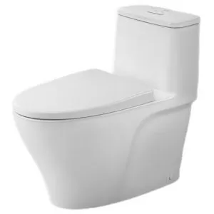 Thợ Miền Nam lắp đặt bồn cầu INAX 1 khối