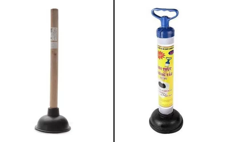 Các loại cây thụt bồn cầu phổ biến