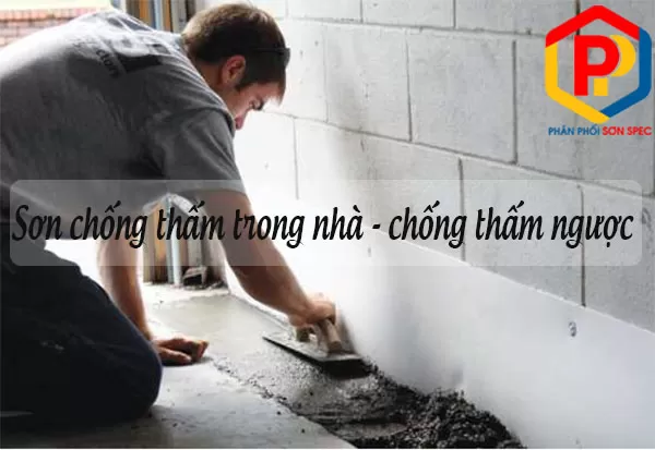 Sơn chống thấm bảo vệ ngôi nhà khỏi thấm dột và ẩm mốc
