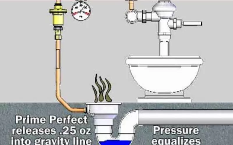 Bẫy nước P-trap bị khô khiến mùi hôi cống thoát ra