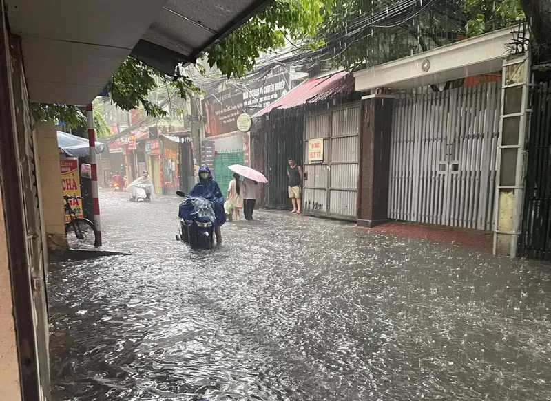 Cống trào ngược gây ngập úng và ô nhiễm môi trường sống