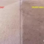 Dịch vụ giặt thảm văn phòng TPHCM - Thợ Miền Nam