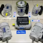 Đối với động cơ điện 1 pha, dây quấn stato chỉ có 1 cuộn dây pha
